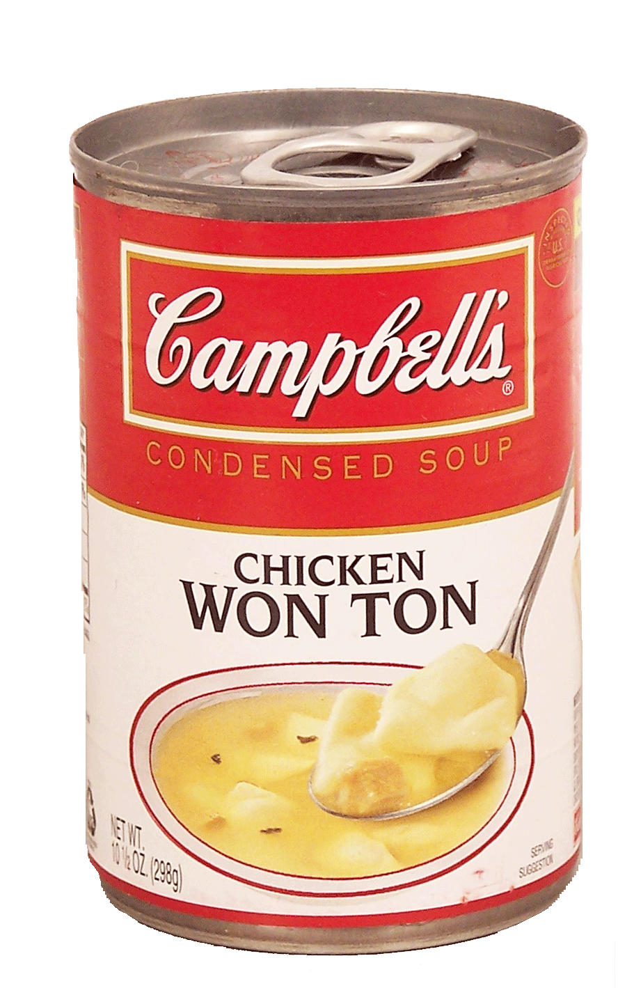 Campbell's  chicken won ton condensed soup Full-Size Picture